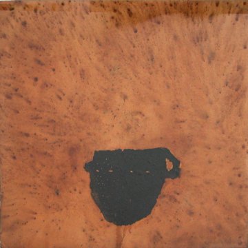 113